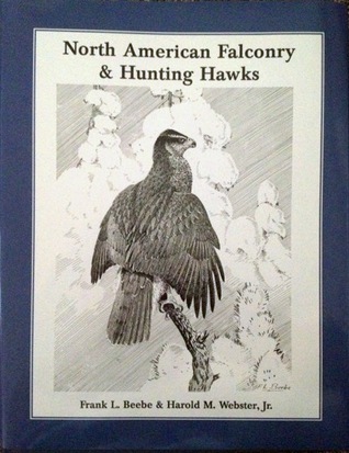 North American Falconry & Hunting Hawks