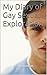 My Diary of Gay Sexual Exploration
