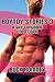 Boytoy Stories 3: a Gay Gan...