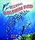 Life in a Dolphin Pod (Dolphin Worlds)