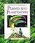 Plants and Planteaters (Secrets of the Rainforest)