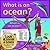 What Is an Ocean? (Bobbie K...