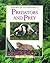 Predators and Prey (Secrets of the Rainforest)