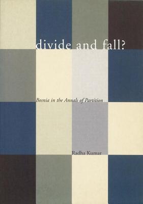 Divide and Fall?: Bosnia in the Annals of Partition