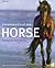 Encyclopedia of the Horse
