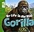 Gorilla by Meredith Costain
