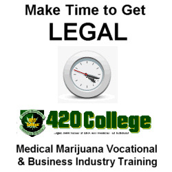 Medical Marijuana Delivery Business Guide eBook