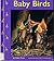 Baby Birds (Pebble Books)