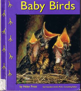 Baby Birds (Pebble Books)