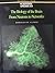 Biology of the Brain by Rodolfo R. Llinás