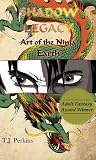 Art of the Ninja by T.J. Perkins