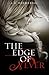 The Edge of Never (The Edge of Never, #1)