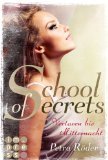 School of Secrets: Verloren bis Mitternacht