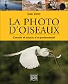La photo d'oiseaux  by Daniel Dupont