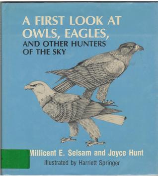 First Look at Owls, Eagles, and Other Hunters of the Sky
