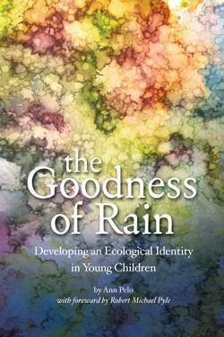 The Goodness of Rain: Developing an Ecological Identity in Young People (Paperback)