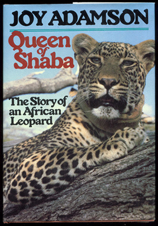 Queen of Shaba : The Story of an African Leopard