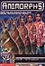 Animorphs Boxset: The Famil...
