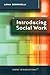 Introducing Social Work (Short Introductions)