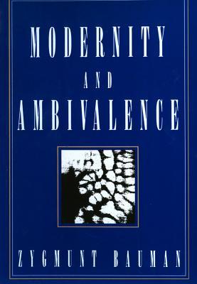 Modernity and Ambivalence (Paperback)