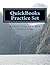 QuickBooks Practice Set by Michelle L. Long