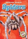 Spiders (Blastoff Readers. Level 1)