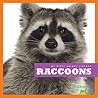 Raccoons by Martha E.H. Rustad