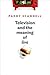 Television and the Meaning ...
