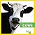 Cows (Animals on the Farm)