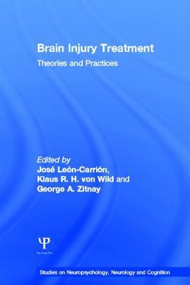 Brain Injury Treatment: Theories and Practices (Studies on Neuropsychology, Neurology and Cognition)