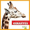 Giraffes