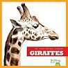 Giraffes by Rebecca Stromstad Glaser