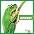 Green (Bullfrog Books: Colors in Nature)