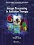 Image Processing in Radiation Therapy (Imaging in Medical Diagnosis and Therapy)