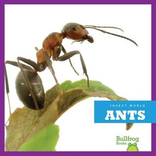 Ants (Insect World)