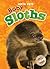 Baby Sloths