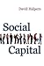 Social Capital