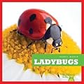 Ladybugs