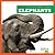 Elephants (Bullfrog Books: My First Animal Library)
