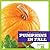 Pumpkins in Fall (What Happens in Fall?)