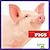 Pigs (Animals on the Farm)