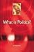 What is Politics?: A Short Introduction (Understanding Contemporary Politics)