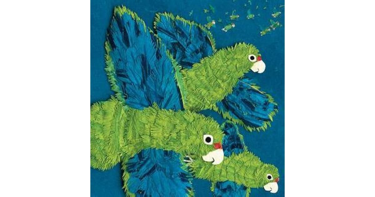 Parrots Over Puerto Rico By Susan L Roth