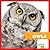 Owls (Bullfrog Books: My First Animal Library)