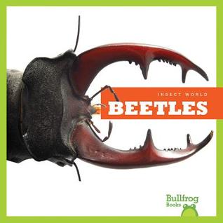 Beetles (Insect World)
