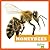 Honeybees (Insect World)