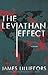 The Leviathan Effect (A Mallory Brothers Thriller)