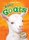 Baby Goats