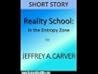 Reality School: In the Entropy Zone Reality School: In the Entropy Zone