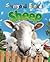Sheep (Farmyard Friends)